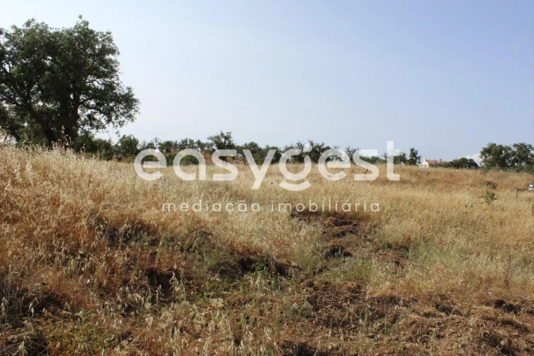 Terreno Misto para Venda em Melides Foto 11