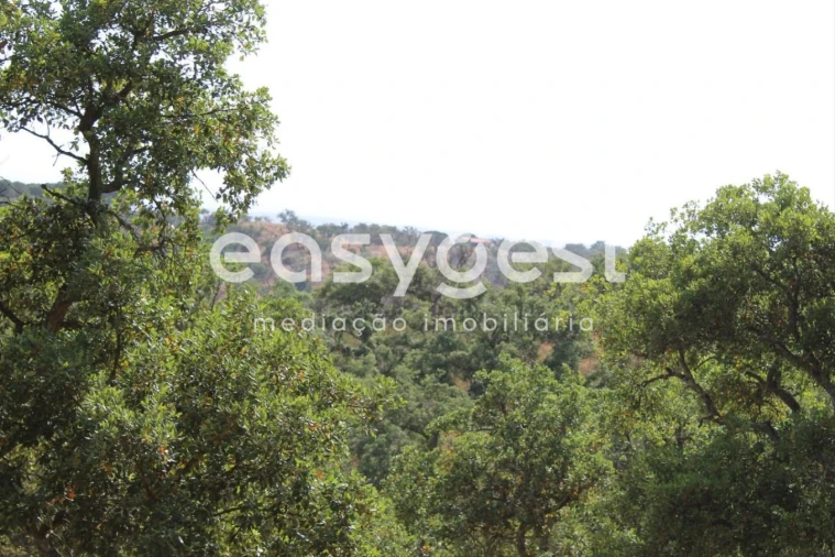 Terreno Misto para Venda em Melides Foto 15