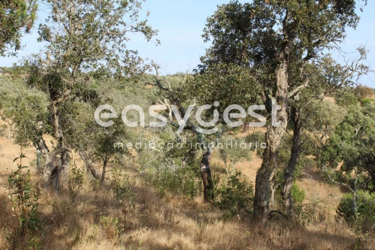 Terreno Misto para Venda em Melides Foto 16