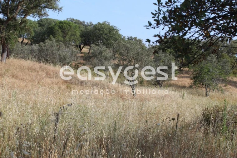 Terreno Misto para Venda em Melides Foto 18