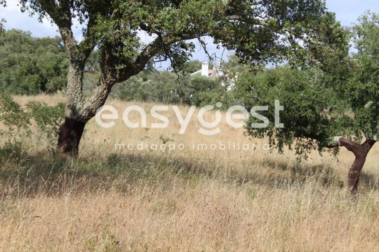 Terreno Misto para Venda em Melides Foto 22