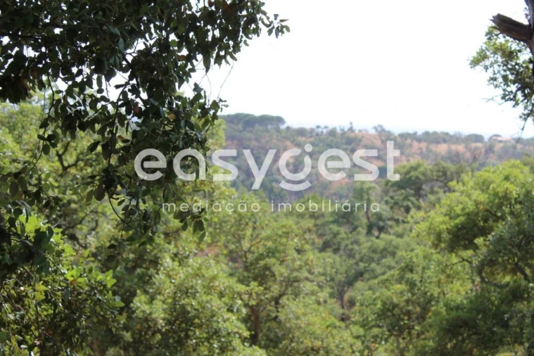 Terreno Misto para Venda em Melides Foto 24