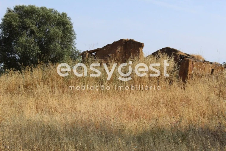 Terreno Misto para Venda em Melides Foto 26