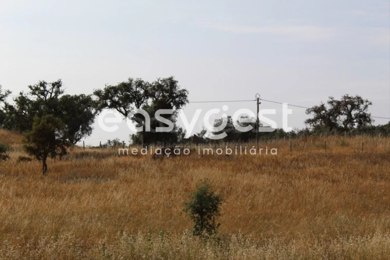 Terreno Misto para Venda em Melides Foto 29