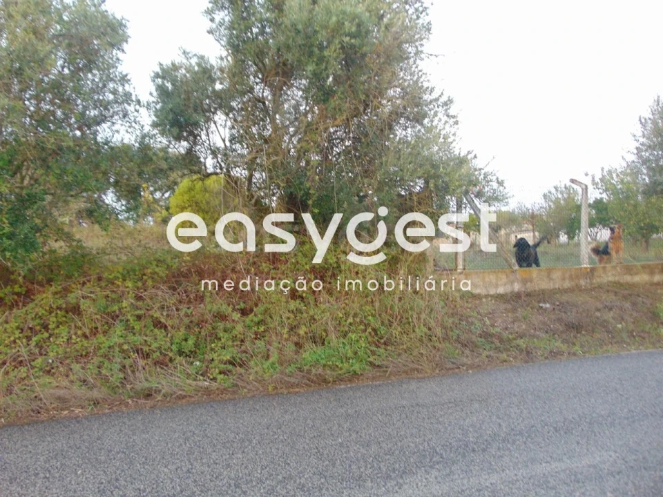 Terreno para Venda em Pontevel Foto 3