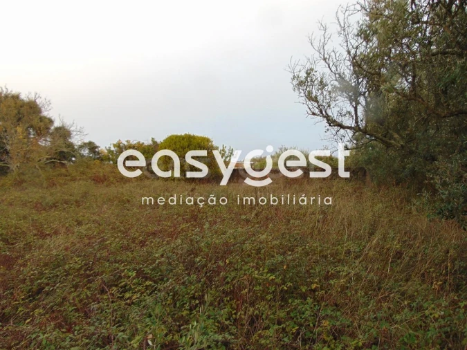 Terreno para Venda em Pontevel