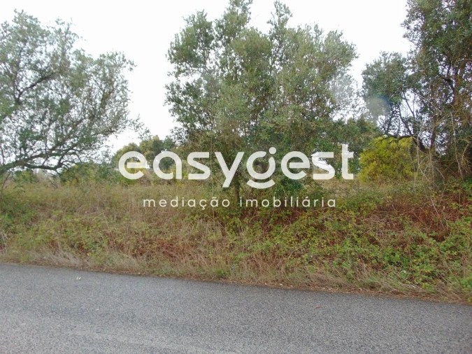 Terreno para Venda em Pontevel Foto 4