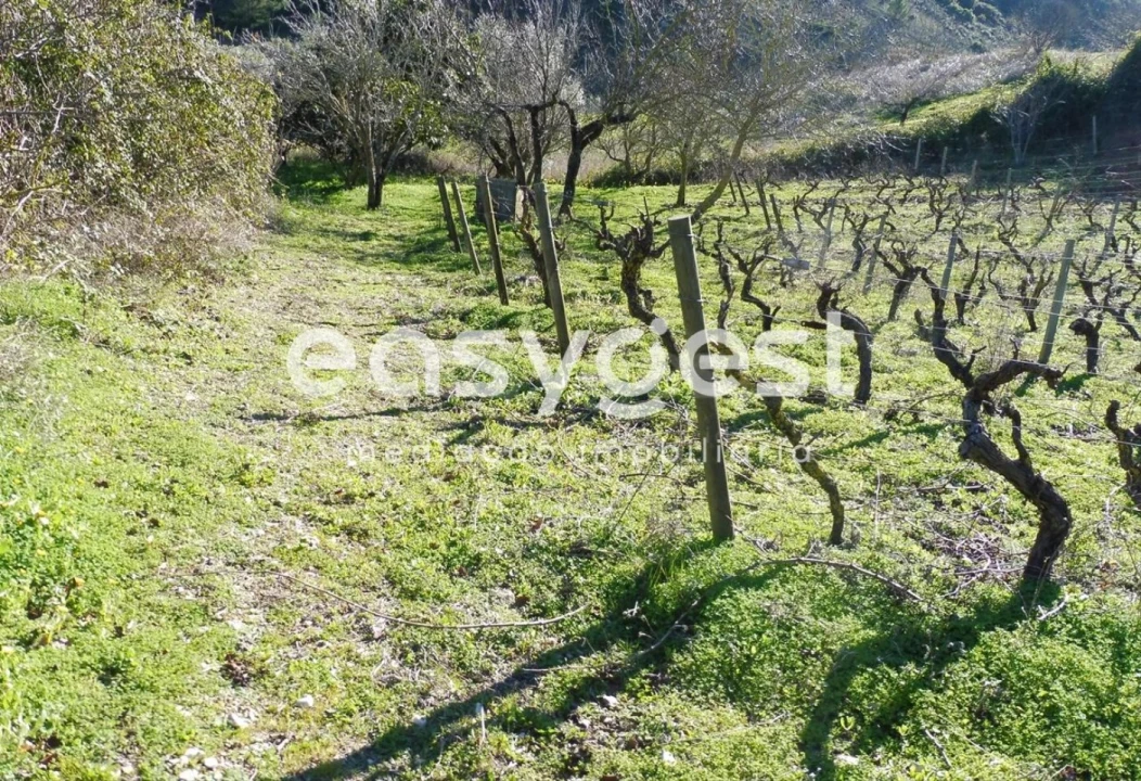 Terreno Agricola ou Rústico para Venda em Alhandra, São João dos Montes e Calhandriz Foto 2