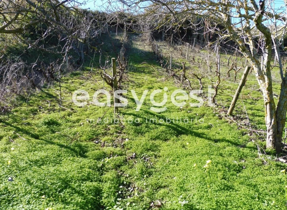 Terreno Agricola ou Rústico para Venda em Alhandra, São João dos Montes e Calhandriz Foto 5