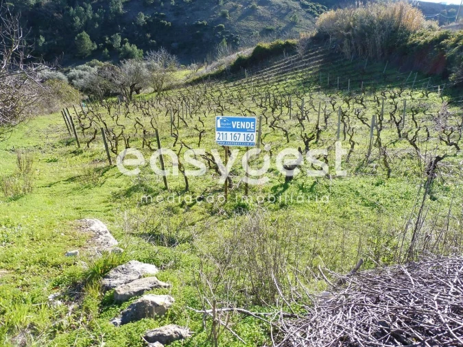 Terreno Agricola ou Rústico para Venda em Alhandra, São João dos Montes e Calhandriz Foto 1