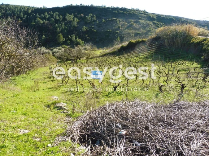 Terreno Agricola ou Rústico para Venda em Alhandra, São João dos Montes e Calhandriz Foto 7