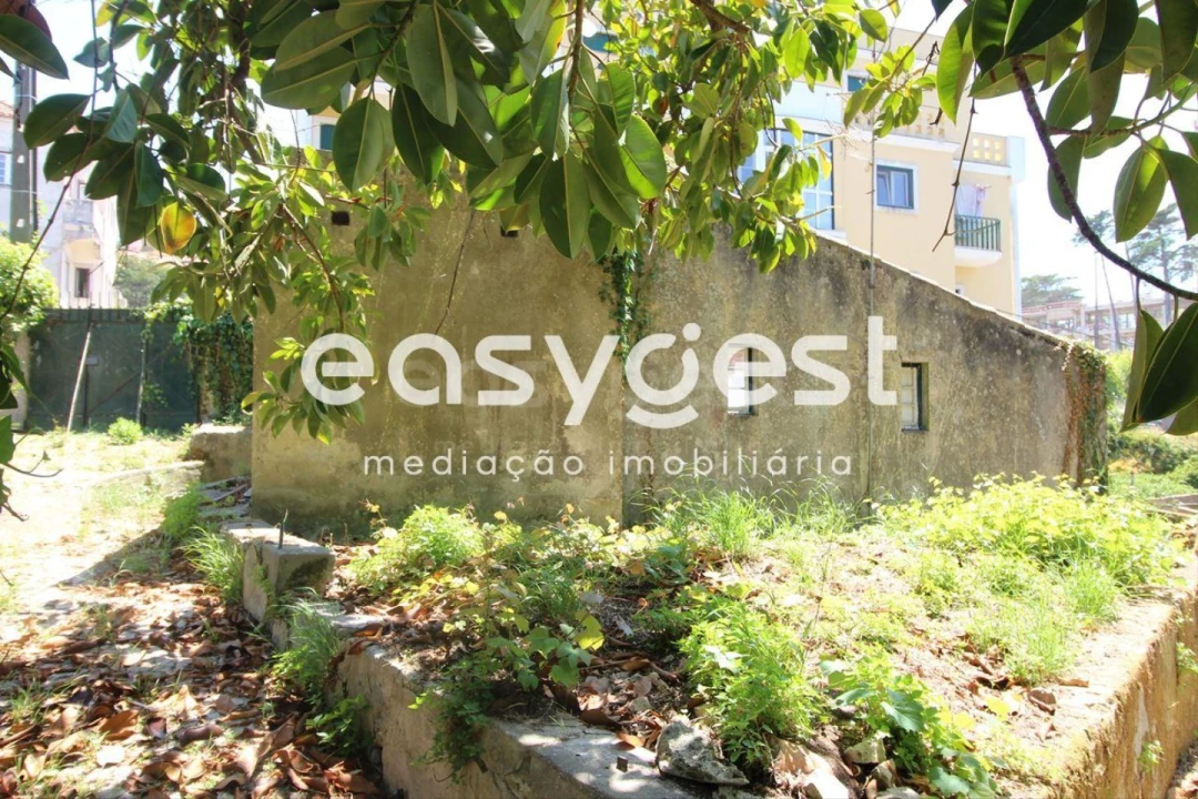 Moradia T8 para Venda em Santa Maria e São Miguel, São Martinho, São Pedro Penaferrim Foto 8