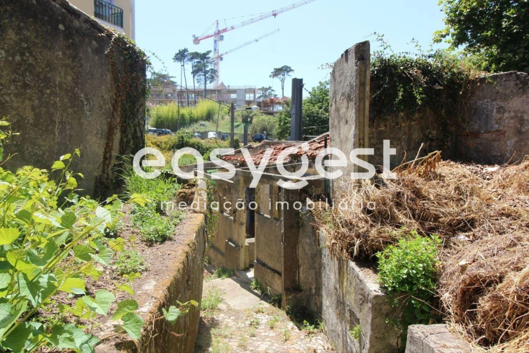 Moradia T8 para Venda em Santa Maria e São Miguel, São Martinho, São Pedro Penaferrim Foto 9