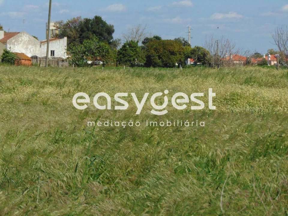 Terreno Misto para Venda em Salvaterra de Magos e Foros de Salvaterra Foto 9