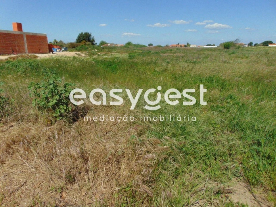 Terreno Misto para Venda em Salvaterra de Magos e Foros de Salvaterra Foto 10