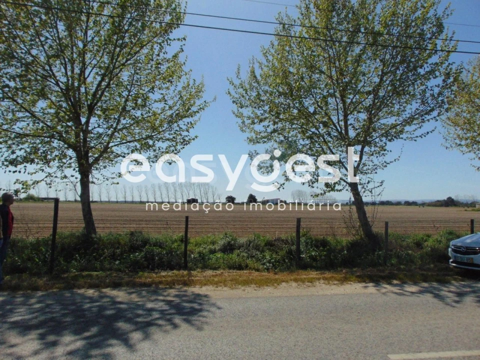 Terreno Misto para Venda em Salvaterra de Magos e Foros de Salvaterra Foto 16