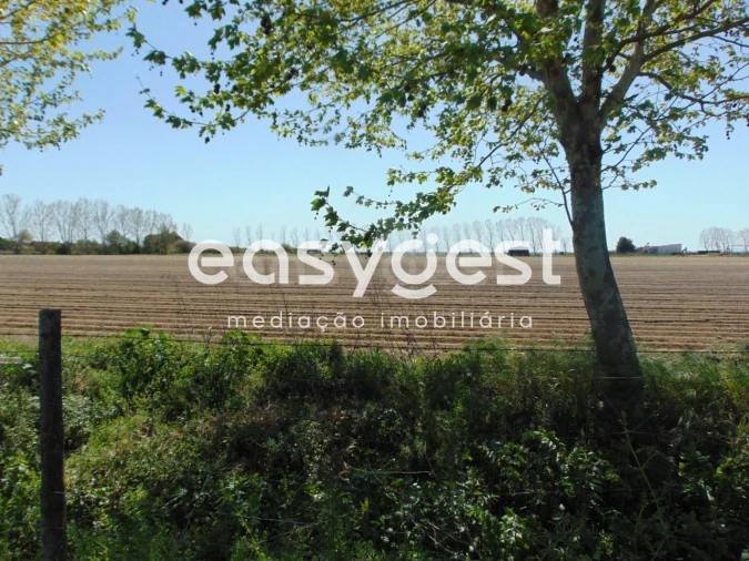 Terreno Misto para Venda em Salvaterra de Magos e Foros de Salvaterra Foto 1