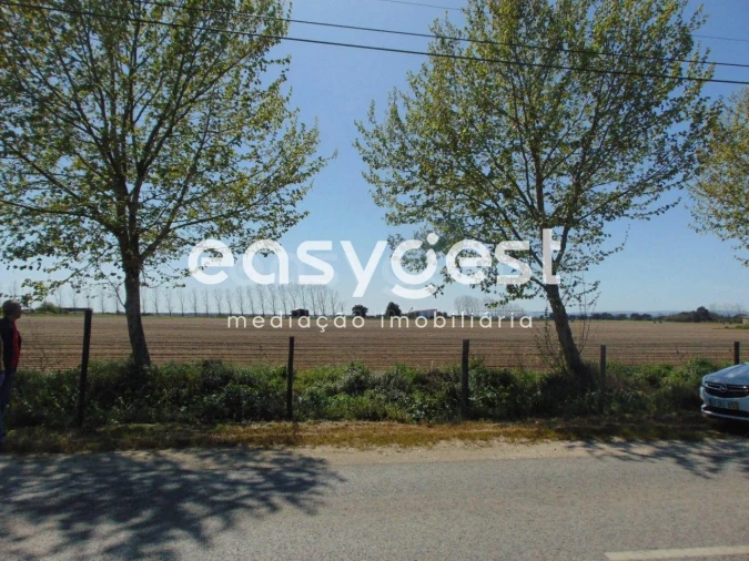 Terreno Misto para Venda em Salvaterra de Magos e Foros de Salvaterra Foto 16