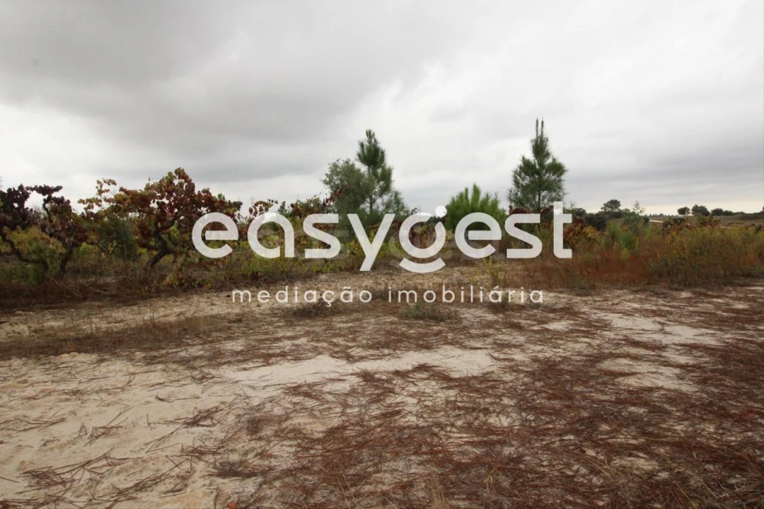 Terreno Agricola ou Rústico para Venda em Landeira Foto 3