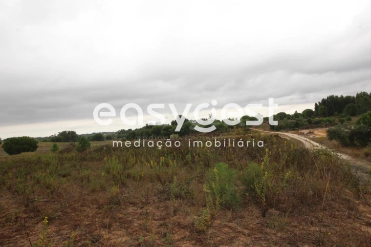 Terreno Agricola ou Rústico para Venda em Landeira Foto 2