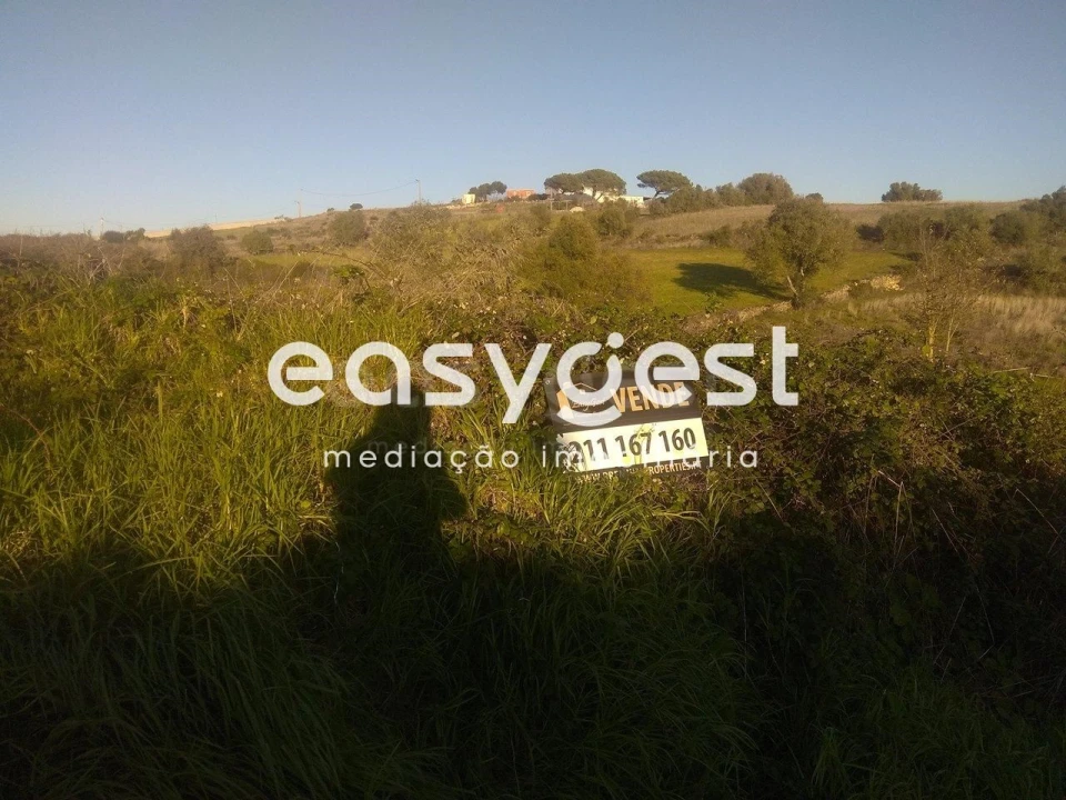 Terreno Agricola ou Rústico para Venda em São João das Lampas e Terrugem Foto 1