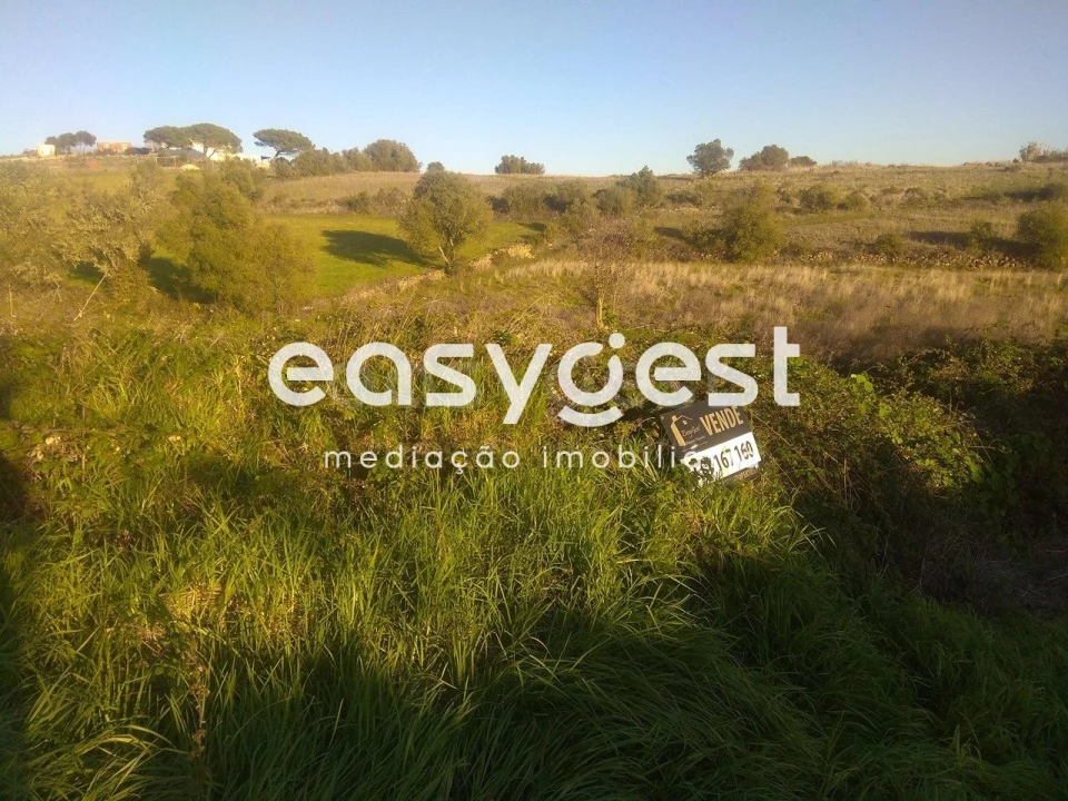 Terreno Agricola ou Rústico para Venda em São João das Lampas e Terrugem Foto 3