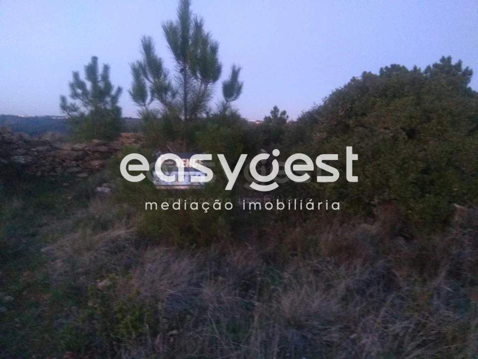 Terreno Agricola ou Rústico para Venda em Igreja Nova e Cheleiros Foto 4