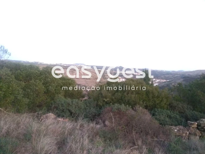 Terreno Agricola ou Rústico para Venda em Igreja Nova e Cheleiros Foto 3