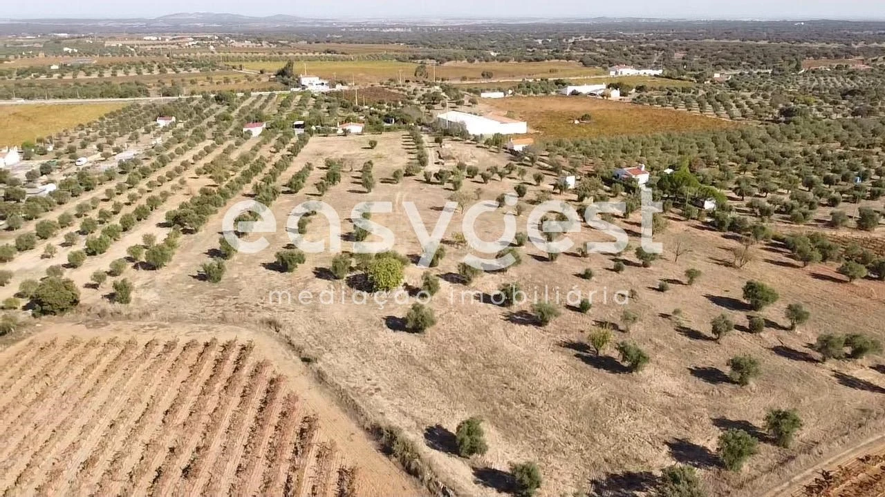 Quinta para Venda em Reguengos de Monsaraz Foto 1