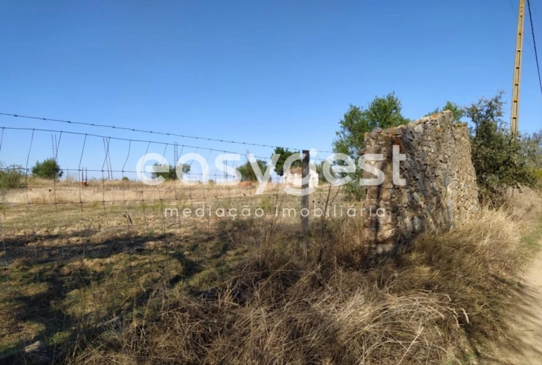 Quinta para Venda em Reguengos de Monsaraz Foto 4