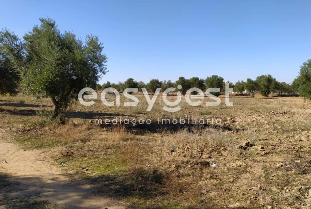 Quinta para Venda em Reguengos de Monsaraz Foto 9