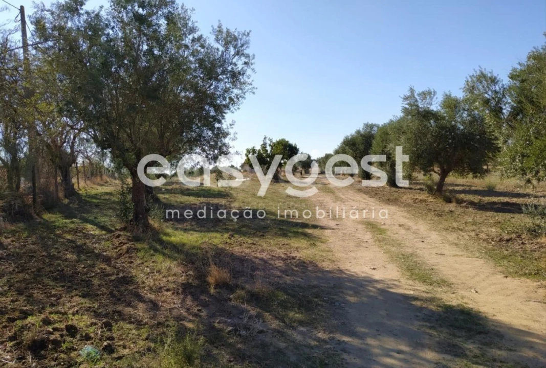 Quinta para Venda em Reguengos de Monsaraz Foto 12