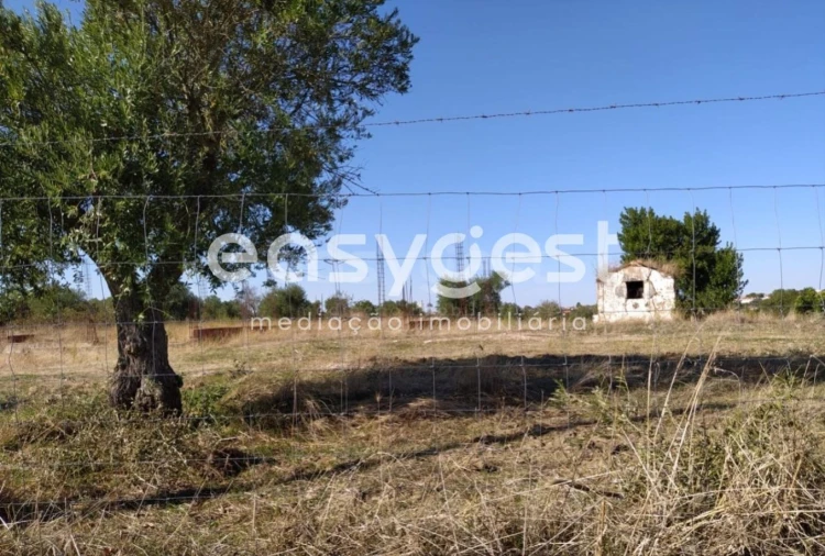Quinta para Venda em Reguengos de Monsaraz Foto 5