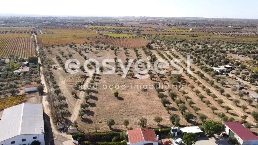 Quinta para Venda em Reguengos de Monsaraz Foto 6