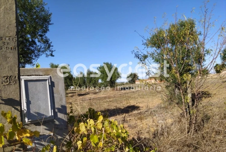 Quinta para Venda em Reguengos de Monsaraz Foto 8