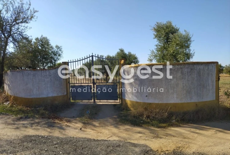 Quinta para Venda em Reguengos de Monsaraz Foto 11