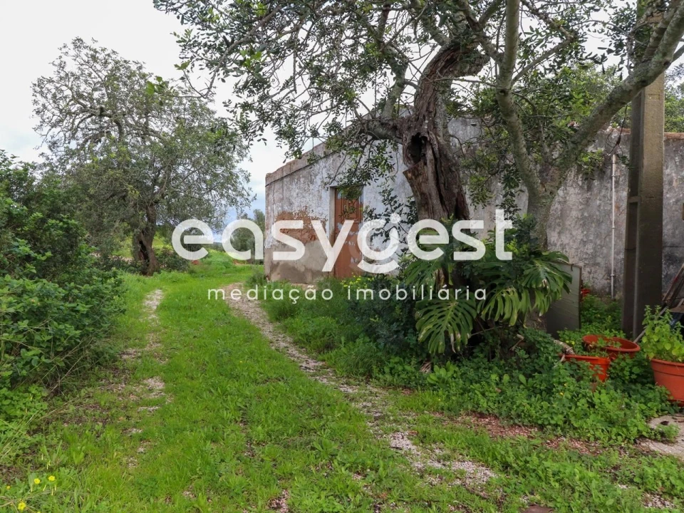 Terreno para Venda em Santa Catarina da Fonte do Bispo Foto 2
