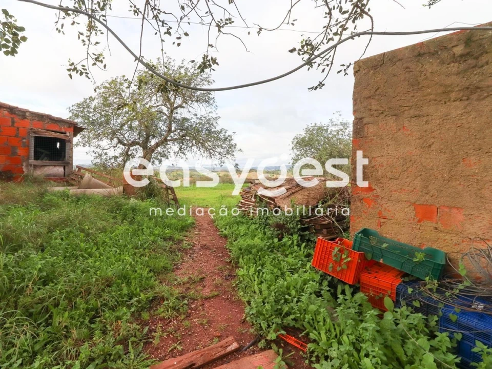 Terreno para Venda em Santa Catarina da Fonte do Bispo Foto 10