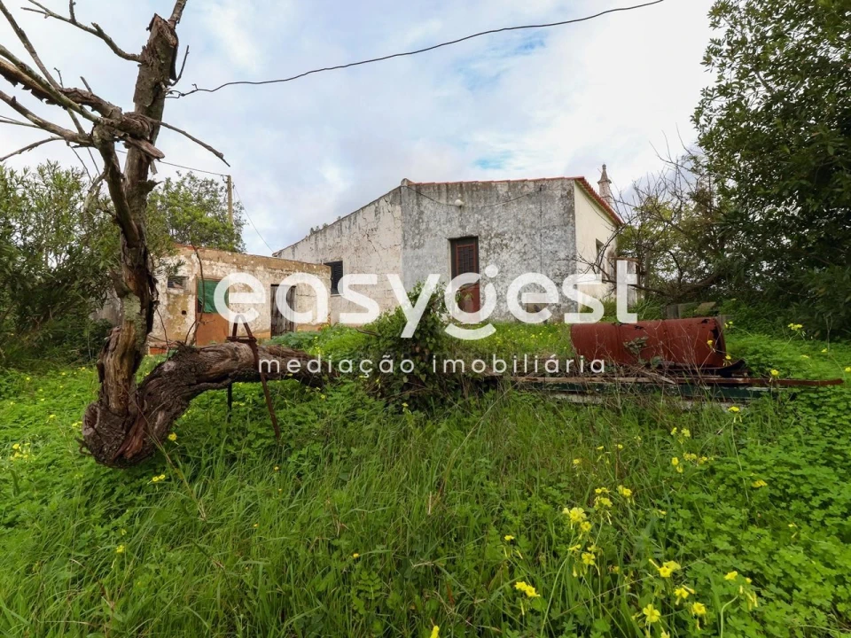 Terreno para Venda em Santa Catarina da Fonte do Bispo Foto 18