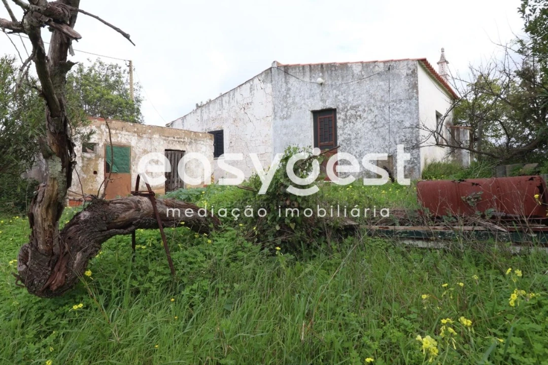 Terreno para Venda em Santa Catarina da Fonte do Bispo Foto 32