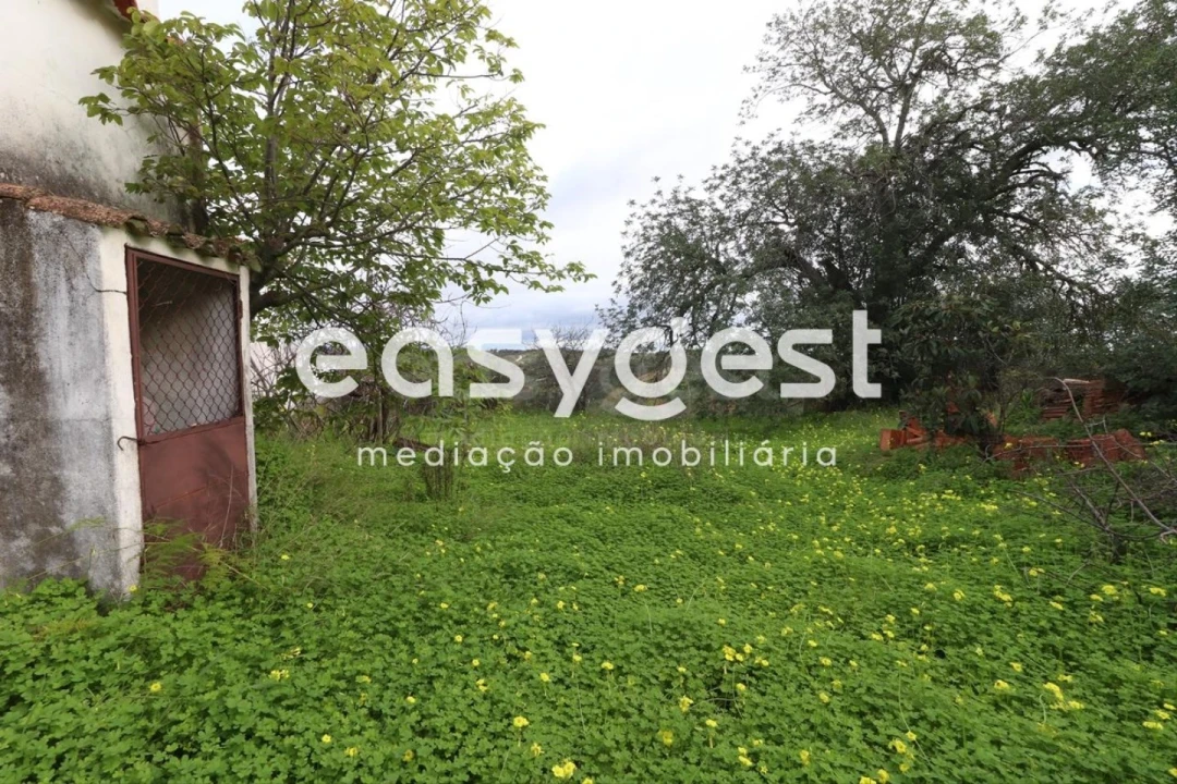 Terreno para Venda em Santa Catarina da Fonte do Bispo Foto 33