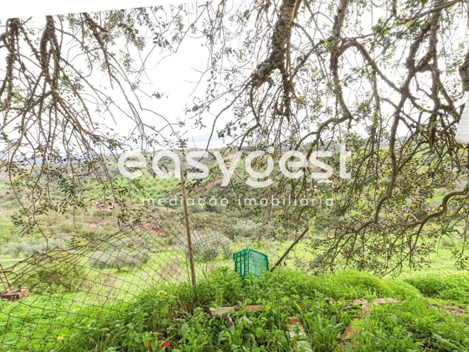 Terreno para Venda em Santa Catarina da Fonte do Bispo Foto 11