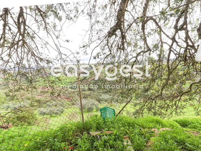 Terreno para Venda em Santa Catarina da Fonte do Bispo Foto 12