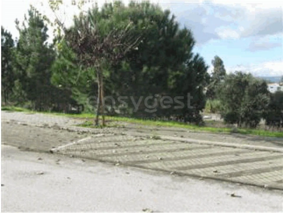 Terreno para Venda em São João Baptista Foto 1