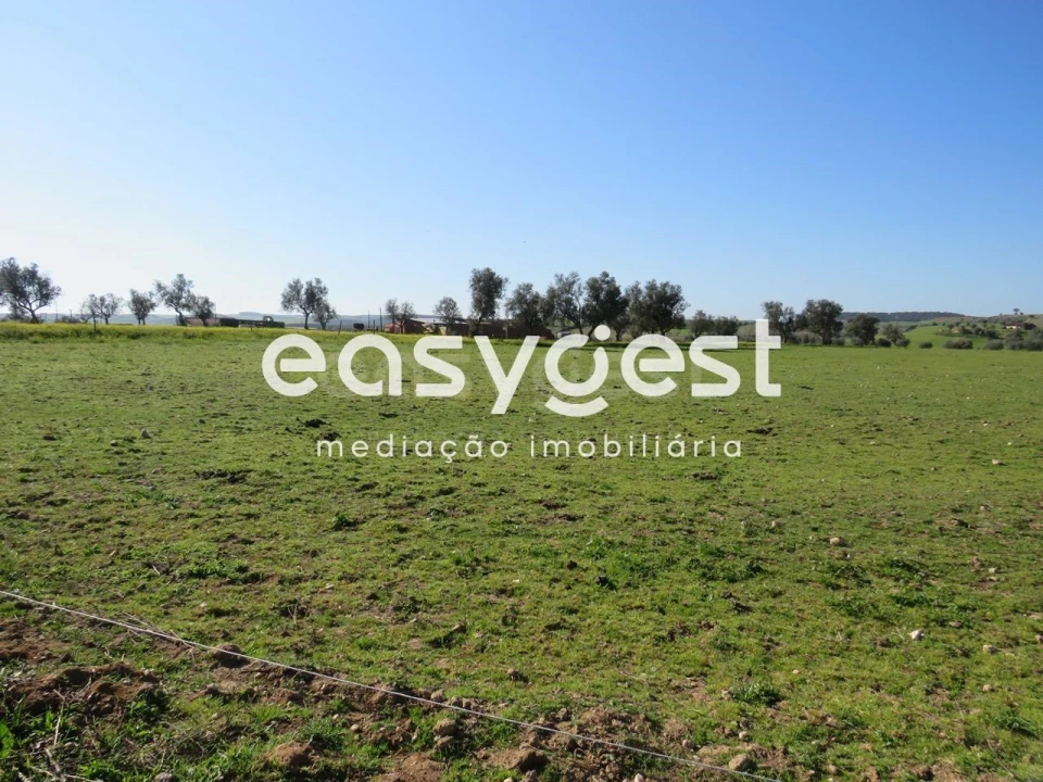 Terreno Agricola ou Rústico para Venda em Aljustrel e Rio de Moinhos Foto 4