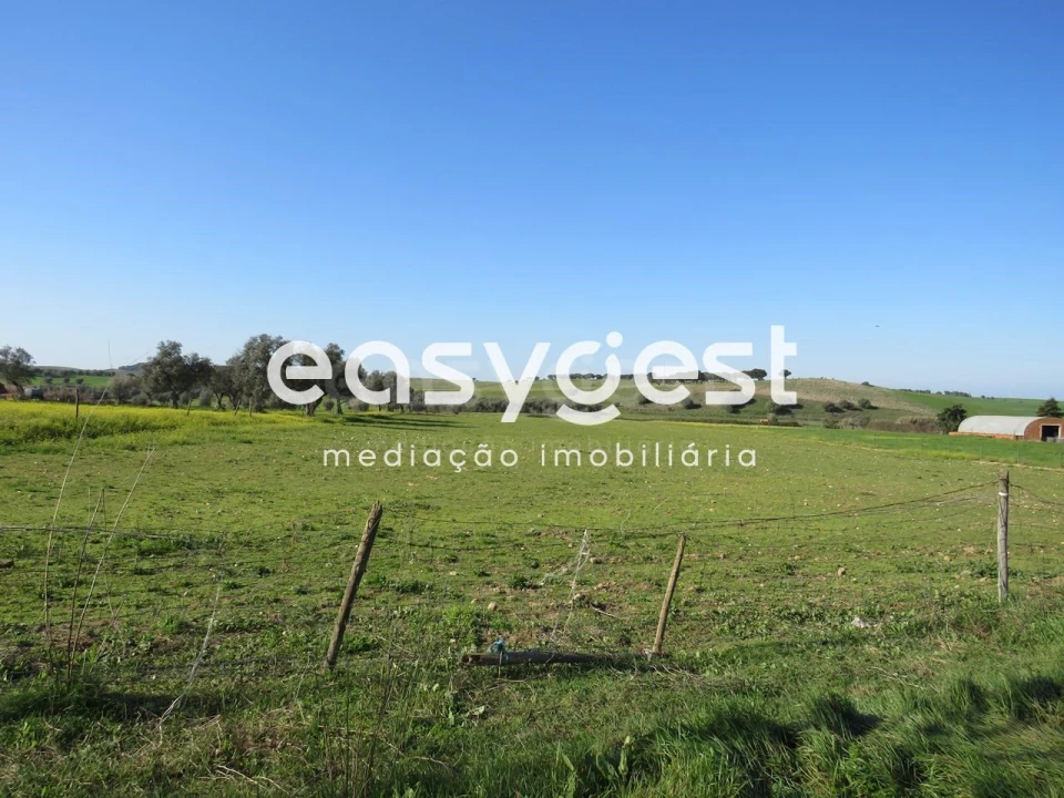 Terreno Agricola ou Rústico para Venda em Aljustrel e Rio de Moinhos Foto 5