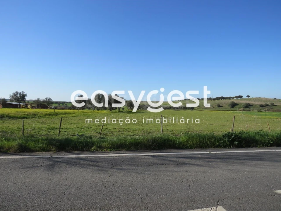 Terreno Agricola ou Rústico para Venda em Aljustrel e Rio de Moinhos Foto 6