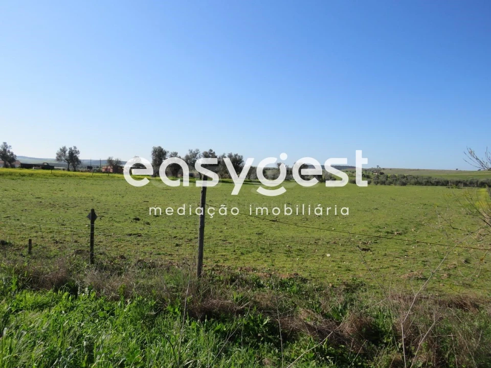 Terreno Agricola ou Rústico para Venda em Aljustrel e Rio de Moinhos Foto 8