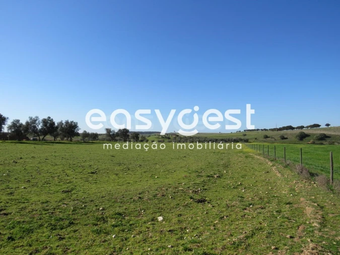 Terreno Agricola ou Rústico para Venda em Aljustrel e Rio de Moinhos Foto 3