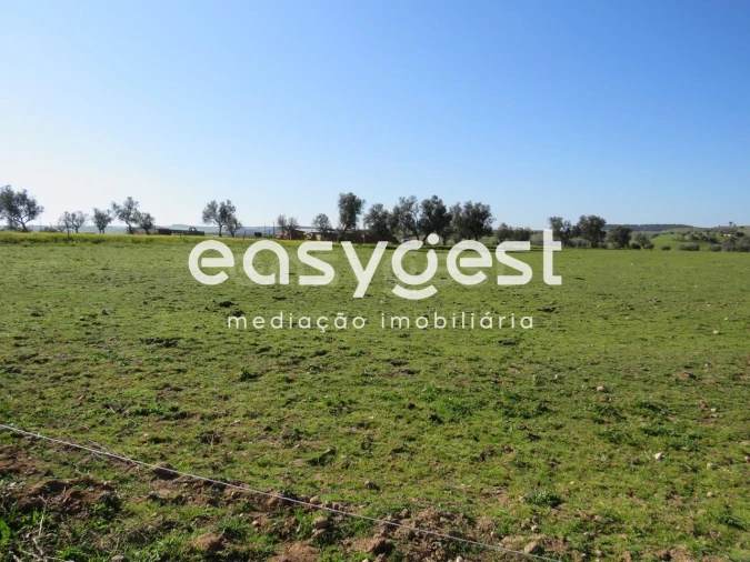 Terreno Agricola ou Rústico para Venda em Aljustrel e Rio de Moinhos Foto 4